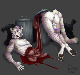 after_sex anal anthro balls belly bisected blood bodily_fluids butt cum cum_in_ass cum_inside death erection forced genital_fluids genitals gore gore_focus guts intestines male nosebleed nude organs paws penis rape sex snuff solo stomach lil_beetle felid feline felis mammal pantherine tiger hi_res