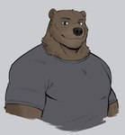 anthro brown_body brown_eyes brown_fur clothing fur grey_background grey_clothing grey_shirt grey_topwear looking_at_viewer male monotone_body monotone_fur muscular muscular_male shirt simple_background smile solo topwear 9klipse echo_(game) echo_(series) echo_project brian_dubois bear mammal 2022 half-length_portrait portrait