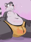 anthro belly bulge clothed clothing embarrassed male presenting_bulge slightly_chubby solo spreading underwear underwear_only martindosent gage_(gagelgag) mammal procyonid raccoon clip_studio_paint_(artwork) digital_media_(artwork) hi_res