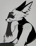 anthro breasts clothed clothing facepalm facial_tattoo female female_anthro fur gloves_(marking) grey_background inner_ear_fluff markings midriff simple_background tattoo tuft falvie the_fox_(falvie) canid canine fox mammal 2024 digital_media_(artwork) signature