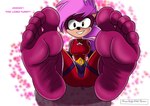 5_toes anthro barefoot clothed clothing feet female foot_focus humanoid_feet pink_body plantigrade smile soles solo toes fromitalywithfurore sega sonic_the_hedgehog_(series) sonic_underground sonia_the_hedgehog eulipotyphlan hedgehog mammal absurd_res hi_res