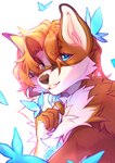 anthro blue_eyes brown_body brown_fur female fur solo white_body white_fur mikty_miki swift_(sleekhusky) arthropod butterfly canid canine canis domestic_dog fox husky insect lepidopteran mammal nordic_sled_dog spitz absurd_res hi_res