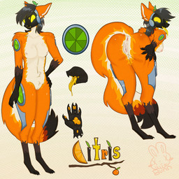 afab anthro anus butt genitals long_tongue machine presenting spread_butt spreading tongue vulva .bunnnnn. citris canid canine mammal maned_wolf protogen hi_res nonbinary_(lore)