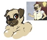 anthro big_breasts black_nose blush breasts brown_eyes female fur nude simple_background solo tan_body tan_fur white_background koffeekuma bojack_horseman netflix pickles_aplenty canid canine canis domestic_dog mammal molosser pug small_molosser toy_dog 2018 bust_portrait colored_sketch hi_res portrait reference_image sketch