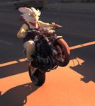 bunny_costume clothing costume eyewear female glasses humor motorcycle solo vehicle wheelie fantasy_(artist) human humanoid lagomorph leporid mammal rabbit meme