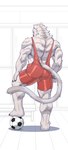 anthro back_muscles ball biped black_claws blue_eyes bottomwear brown_nose claws clothing eyebrows fur hand_on_leg hand_on_thigh inside locker_room looking_at_viewer looking_back male muscular muscular_anthro muscular_calves muscular_legs muscular_male muscular_thighs red_clothing red_unitard shorts soccer_ball solo standing tail tight_clothing triceps tuft unitard white_body white_eyes white_fur white_tail wrestling_singlet yuezai_1 felid feline mammal hi_res