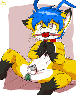 3_fingers anal anal_penetration anthro ball_gag balls biped black_body black_ear_tips black_eyebrows black_fur black_nose blue_hair bodily_fluids bound buttplug buttplug_in_ass buttplug_insertion chastity_cage chastity_device cheek_tuft collar dipstick_ears ear_markings eyebrows facial_tuft fingers fur gag gagged genitals glistening glistening_eyes gloves_(marking) grey_eyes hair hands_tied inner_ear_fluff leg_markings male male_anthro markings multicolored_body multicolored_ears multicolored_fur multicolored_tail navel nude nude_anthro nude_male object_in_ass one_ear_up penetration plug_(sex_toy) plug_insertion pointy_ears red_collar sex_toy sex_toy_in_ass sex_toy_insertion sitting socks_(marking) solo spread_legs spreading sweat sweaty_body tail text thin_eyebrows tuft wearing_chastity_cage wearing_chastity_device white_balls white_body white_fur white_inner_ear_fluff white_tail yellow_body yellow_fur yellow_tail young young_anthro young_male foxy_harris foxy_kitsunei canid canine fox mammal 2026 4:5 artist_name digital_media_(artwork)