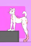 anthro male solo clion canid canine canis dalmatian domestic_dog mammal hi_res