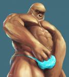 abs anthro biceps blue_background brown_body brown_fur bulge clothing fur male muscular muscular_anthro muscular_male pecs pubes simple_background solo underwear m7 ape haplorhine mammal primate 2018 signature