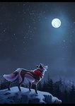 evergreen_tree female feral forest full_moon moon mountain night pine_tree plant snow solo star tree takomishadow misha_(takomishadow) canid canine canis coyote mammal illustration absurd_res digital_media_(artwork) hi_res letterbox