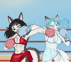 abs anthro bikini boxing boxing_gloves bruised clothing duo face_punch female fighting_ring handwear motion_lines punch sport swimwear two-piece_swimsuit chamma_retsuden canid canine canis mammal wolf absurd_res hi_res