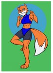 abs action_pose anthro athletic big_tail biped blue_clothing blue_shirt blue_topwear border bottomwear breasts claws clothing feet female green_background grey_bottomwear grey_clothing grey_shorts humanoid_feet medium_breasts muscular muscular_female orange_body plantigrade pose shirt shorts simple_background solo standing tail three-quarter_view toe_claws topwear white_border morijuri brutal_paws_of_fury foxy_roxy canid canine fox mammal 2024 digital_drawing_(artwork) digital_media_(artwork) full-length_portrait hi_res portrait shaded simple_shading