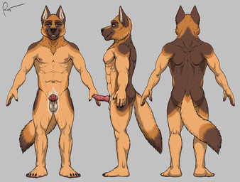 abs animal_genitalia animal_penis anthro balls bodily_fluids brown_body butt canine_genitalia canine_penis erection feet fingers fur genitals knot knotted_penis looking_at_viewer male muscular muscular_anthro muscular_male nipples nude pecs penis rear_view sheath simple_background smile solo standing tail toes rov canid canine canis domestic_dog german_shepherd herding_dog mammal pastoral_dog digital_media_(artwork) hi_res model_sheet