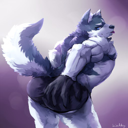 anthro black_nose clothed clothing fur male multicolored_body multicolored_fur muscular muscular_anthro muscular_male rear_view solo standing tongue tongue_out topless two_tone_body two_tone_fur two_tone_tail waddledox canid canine canis mammal wolf 1:1 2016 hi_res