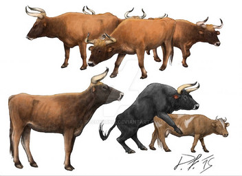 black_body black_fur brown_body brown_fur duo female feral from_behind_position fur group horn imminent_sex interspecies male mounting quadruped sex short_fur simple_background size_difference solo white_background pachyornis aurochs bovid bovine cattle mammal recently_extinct_species 2015 multiple_images