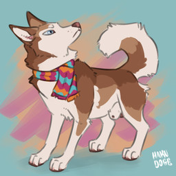 animal_genitalia animal_penis balls brown_body brown_fur canine_genitalia canine_penis feral fully_sheathed fur genitals penis scarf sheath solo hakudoge timber_(hakudoge) canid canine canis domestic_dog husky mammal nordic_sled_dog spitz