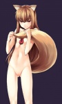 animal_humanoid breasts brown_hair canid canid_humanoid canine canine_humanoid canis covering covering_self female genitals hair hi_res holo_(spice_and_wolf) humanoid jewelry long_hair looking_at_viewer mammal mammal_humanoid necklace nude pussy red_eyes small_breasts solo spice_and_wolf standing tail unknown_artist wolf wolf_humanoid