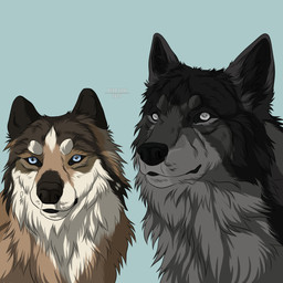 ambiguous_gender black_body black_fur black_nose blue_background blue_eyes brown_body brown_fur duo feral fur grey_body grey_fur mouth_closed simple_background text white_body white_eyes white_fur msdeadsoul canid canine mammal 1:1 2021 artist_name dated hi_res