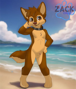 anthro beach enjoying genitals male male_anthro nude penis small_penis solo young young_anthro young_male zack_collins paw_patrol chase_(paw_patrol) canid canine canis domestic_dog humanoid mammal hi_res