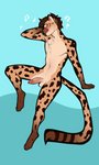 anthro balls brown_hair feet fingers genitals hair male navel penis solo toes ni70 mahalo_(mahalocheetah) cheetah felid feline mammal 2020 digital_media_(artwork)