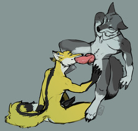 animal_genitalia animal_penis anthro athletic athletic_anthro athletic_male balls black_body black_fur black_penis blue_eyes canine_genitalia canine_penis cross cross_necklace duo ear_piercing ear_ring erection eyebrow_piercing eyes_closed facial_piercing fur genitals grey_body grey_fur imminent_oral jewelry knot knotted_penis male male_anthro necklace necklace_only nude nude_anthro nude_male penis piercing pink_penis ring_piercing sheath simple_background sitting tail white_body white_fur yellow_body yellow_fur i-psilone 7foxfire sadwyn canid canine canis fox mammal wolf 2017