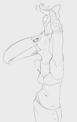 anthro bottomwear bra breasts clothed clothing female medium_breasts midriff navel simple_background skirt solo standing underwear wetchop mythology mira_(wetchop) aracari avian bird felid gryphon hybrid leopard mammal mythological_avian mythological_creature pantherine piciform toucan hi_res monochrome portrait sketch three-quarter_portrait