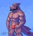 anthro beard clothing facial_hair fin male muscular muscular_anthro muscular_male navel nipples notched_fin solo speedo swimwear underwear whistle_(object) cattodill rayzrreptile gael_(audazzy) fish marine shark hi_res