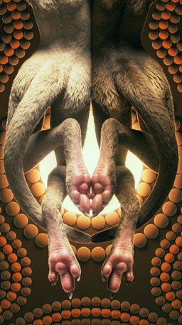 albino anthro brown_body brown_fur butt claws detailed_fur dotted_background duo female fur nude pattern_background pawpads paws photorealism realistic simple_background toe_claws white_body white_fur tchaikovsky2 alinga alkina kangaroo macropod mammal marsupial 2017 3d_(artwork) 9:16 detailed digital_media_(artwork) hi_res sibling_(lore) twins_(lore)