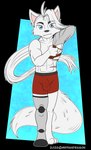 amputated amputee anthro balls_outline bulge detailed_bulge disability genital_outline male male_anthro missing_arm missing_leg prosthetic prosthetic_leg prosthetic_limb sheath_outline stump_sock toned_muscles mrpandragon kei_laule arctic_fox canid canine fox mammal true_fox absurd_res alpha_channel hi_res