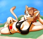 alcohol anthro beach beverage bikini clothed clothing female fur hair looking_at_viewer navel outside sand seaside sky smile solo swimwear towel two-piece_swimsuit callmewritefag cyberconnect2 fuga:_melodies_of_steel little_tail_bronx cannelle_muscat domestic_cat felid feline felineko felis mammal 2021 colored colored_sketch digital_drawing_(artwork) digital_media_(artwork) hi_res shaded sketch