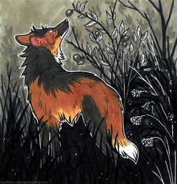 ambiguous_feral ambiguous_gender black_body black_fur black_nose dipstick_tail feral fur glistening glistening_eyes green_eyes inner_ear_fluff markings mouth_closed orange_body orange_fur orange_tail outside red_inner_ear_fluff side_view solo tail tail_markings tuft whiskers white_tail heatherwolf ampere_(leggypersec) canid canine mammal maned_wolf hi_res