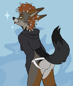 anthro blep butt clothing crop_top femboy jockstrap male needy presenting presenting_hindquarters shirt solo teasing tongue tongue_out topwear underwear starboy_es starrie_(quirkyfop) canid canine darwin's_fox fox mammal south_american_fox