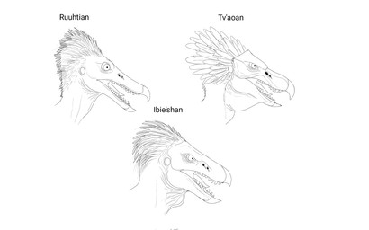 ambiguous_gender anthro avian_caruncle beak feather_hair feathers group pseudo_hair quill_hair sharp_teeth side_view teeth trio tympanum batterymaster halo_(series) microsoft xbox_game_studios alien avian ibie'shan kig-yar ruuhtian scalie t'vaoan headshot_portrait hi_res model_sheet monochrome portrait