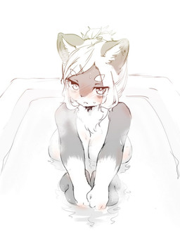 4_fingers anthro areola bath big_breasts blush bodily_fluids breasts female fingers fur grey_body grey_fur hair kemono open_mouth simple_background solo sweat water white_background xenon50mm canid canine canis domestic_dog mammal