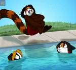 anthro black_nose blonde_hair cannonball_dive clothing eyes_closed female grass group hair male open_mouth partially_submerged plant swimming_pool swimming_trunks swimwear trio foxenawolf ailurid canid canine fox mammal red_panda adversarial_noise