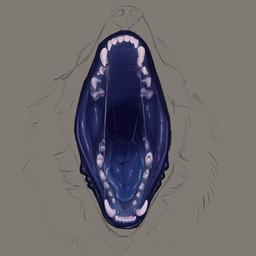 anthro blue_mouth blue_tongue bodily_fluids disproportionately_detailed_mouth fur grey_background male mouth_shot open_mouth saliva saliva_string sharp_teeth simple_background solo teeth tongue zeanlain canid canine canis mammal wolf 1:1 2021 colored hi_res selectively_detailed sketch