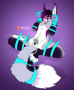 anthro ball_gag balls bdsm bodily_fluids bondage bound chastity_cage chastity_device fangs gag genital_fluids genitals lock male padlock paws piercing precum sex_toy solo straps teeth vibrator wand_vibrator conditional_dnp jalmu slimfox45 arachnid arthropod canid canine fox hybrid mammal spider