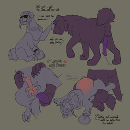 abdominal_bulge anal anal_penetration animal_genitalia animal_penis balls bodily_fluids cum cum_inflation cum_inside cybernetics duo electronics erection eyewear feral flared_penis genital_fluids genitals glasses hair headphones inflation intersex machine male male/male male_penetrated male_penetrating male_penetrating_male maleherm mandibles penetration penile penis sex simple_background size_difference text vulva wrong_hole puppyratcat alien canid canine felid hybrid mammal vortihound xog 1:1 english_text hi_res