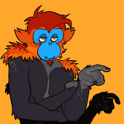 4_arms anthro front_view fur glistening glistening_eyes grey_body grey_fur head_tuft male male_anthro mouth_closed multi_arm multi_limb narrowed_eyes nude orange_background orange_body orange_eyes orange_fur simple_background solo tuft 0ct0m0n0 miko_(0ct0m0n0) haplorhine mammal monkey primate 1:1 bust_portrait hi_res icon portrait