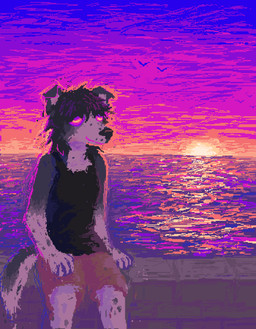 ambiguous_gender anthro black_clothing black_shirt black_tank_top black_topwear bottomwear clothing detailed_background fur grey_body grey_fur outside sea shirt shorts sitting solo sunset tank_top topwear water demensa ambient_bird canid canine canis domestic_dog mammal 2023 digital_media_(artwork) hi_res pixel_(artwork)