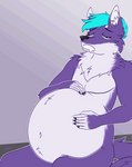 anthro belly big_belly black_nose blue_hair burping digestion eyes_closed fur hair hand_on_belly male male_pred purple_body purple_fur same_size_vore simple_background sitting solo tail text unseen_prey vore g3xa mox_(antillion123) canid canine fox mammal 2023 animated english_text flat_colors loop short_playtime