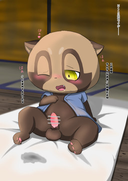animal_genitalia animal_penis anthro asian_clothing balls blush bodily_fluids brown_body brown_fur clothing cum cute_fangs dialogue drooling east_asian_clothing erection fangs fur futon genital_fluids genitals half-closed_eyes inside male narrowed_eyes pawpads paws penis pink_pawpads pink_penis saliva sitting solo teeth text yellow_eyes young young_anthro young_male yuki_(8l3ftmb4hiuewtm) obakeidoro! ponkichi_(obakeidoro!) canid canine mammal raccoon_dog tanuki 2025 censored comic hi_res japanese_text translated