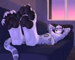 anthro curling_toes feet foot_focus furniture hands_behind_head low-angle_view lying male on_back pawpads paws sleeping sofa solo tail 3dinoz felid mammal pantherine snow_leopard 5:4