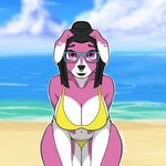 anthro bikini clothing eyewear facial_piercing female glasses nose_piercing nose_ring piercing ring_piercing septum_piercing septum_ring solo swimwear two-piece_swimsuit milatails canid canine mammal 1:1