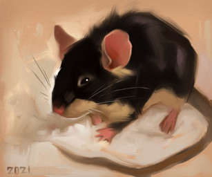 ambiguous_gender black_body black_eyes black_fur feral fur grey_underbelly long_tail pink_ears pink_nose pink_paws simple_background solo tail tan_background whiskers alexpahomov mammal mouse murid murine rodent 2021