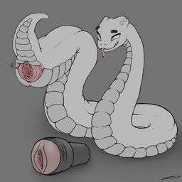 bestiality female feral genitals long_tongue looking_offscreen penetrable_sex_toy presenting presenting_vulva sex_toy simple_background smile solo tongue vulva zevex ori_(horiori) reptile scalie snake hi_res