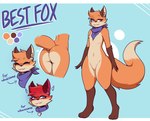 anthro aroused collar collar_only femboy male nude solo giidenuts thebestfox canid canine fox mammal hi_res