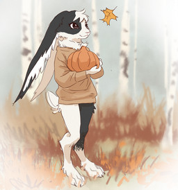 anthro autumn bangs barefoot black_body black_fur brown_clothing clothed clothing ear_tuft feet female food fruit fur hair leaf lips long_ears neck_tuft oversized_clothing pantsless pink_lips pink_nose plant pumpkin smile solo sweater topwear tree tuft white_body white_fur white_hair tateoftot lagomorph leporid mammal rabbit