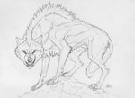 bristling feral fur paws quadruped rock sharp_teeth snarling teeth rashka-gm andrew_baxter canid canine canis mammal wolf monochrome