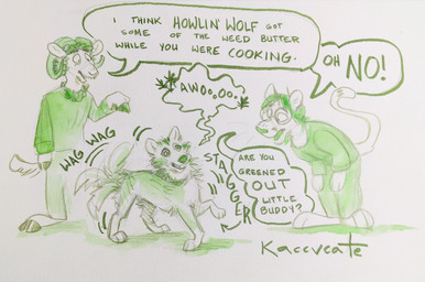 anthro clothed clothing dialogue drugs female feral fur group hair male marijuana red_panther simple_background smile speech_bubble standing stoned substance_intoxication tail text trio kaccvcate bovid canid canine canis caprine cougar domestic_dog felid feline husky mammal nordic_sled_dog sheep spitz comic english_text hi_res monochrome painting_(artwork) traditional_media_(artwork) watercolor_(artwork)